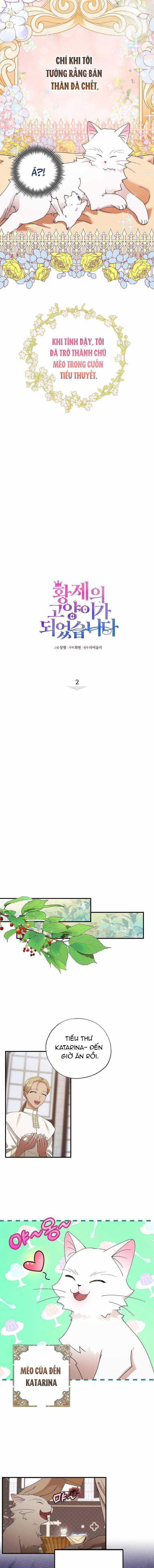 Trở Thành Miêu Nữ Của Hoàng Đế Chapter 2 trang 4