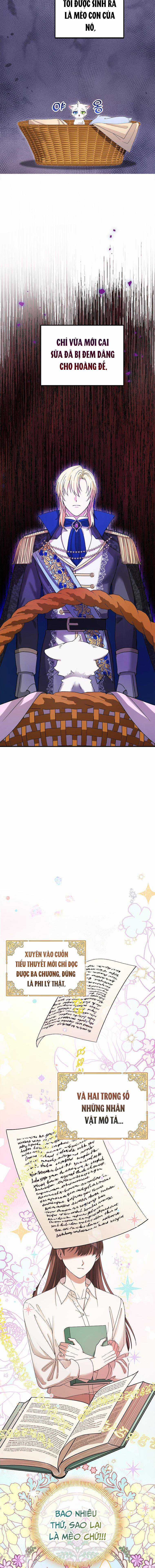 Trở Thành Miêu Nữ Của Hoàng Đế Chapter 2 trang 5