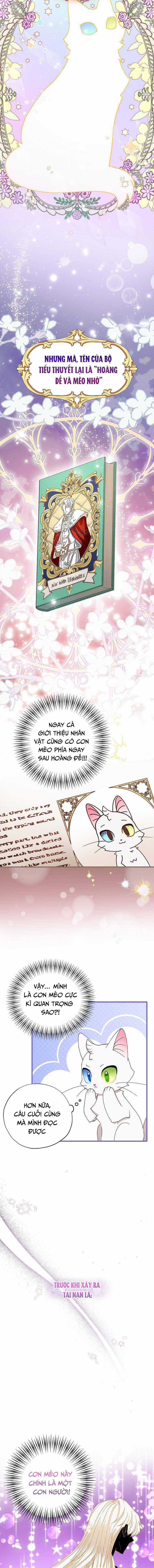 Trở Thành Miêu Nữ Của Hoàng Đế Chapter 2 trang 6