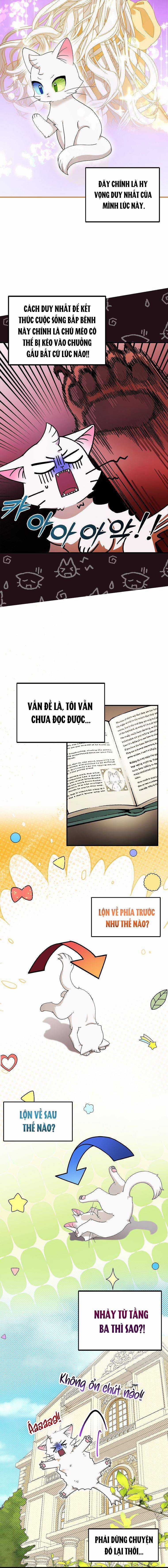 Trở Thành Miêu Nữ Của Hoàng Đế Chapter 2 trang 7