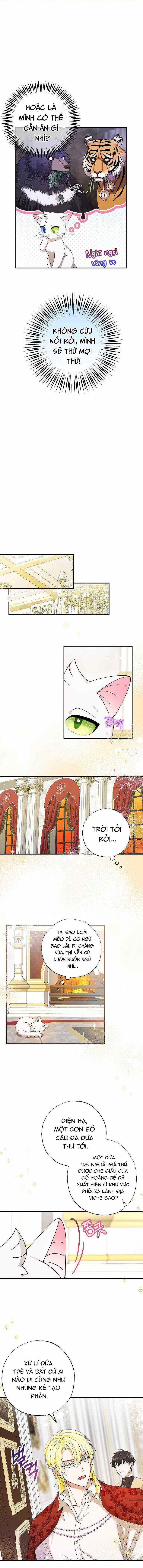 Trở Thành Miêu Nữ Của Hoàng Đế Chapter 2 trang 8