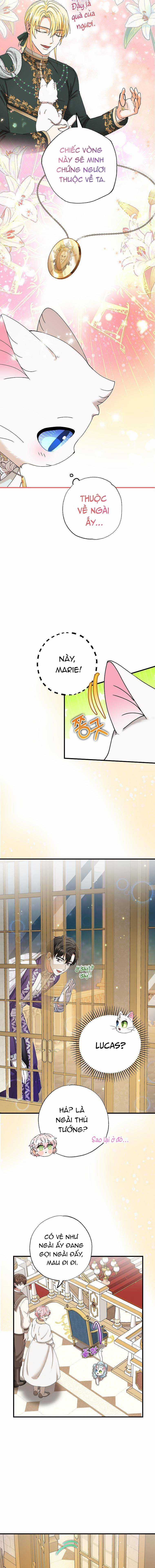 Trở Thành Miêu Nữ Của Hoàng Đế Chapter 20 trang 10