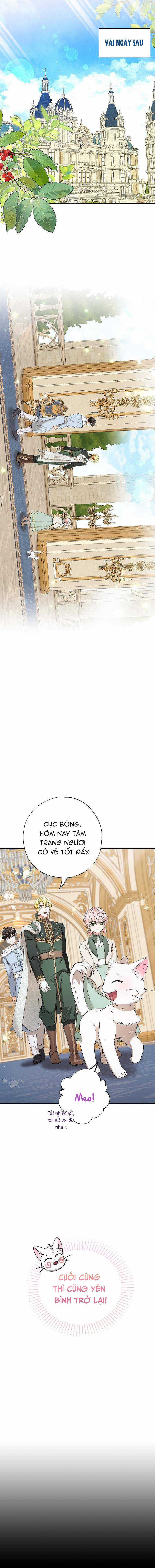 Trở Thành Miêu Nữ Của Hoàng Đế Chapter 20 trang 2