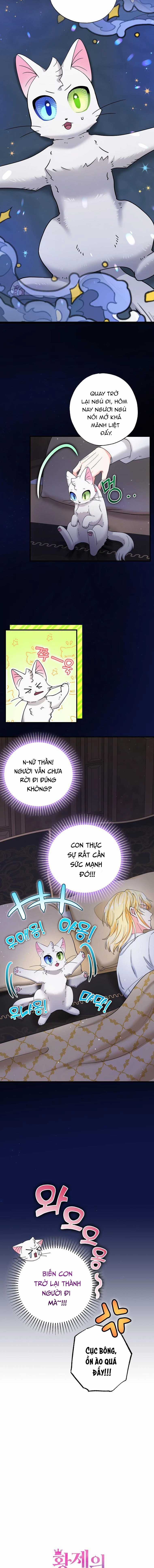 Trở Thành Miêu Nữ Của Hoàng Đế Chapter 21 trang 3