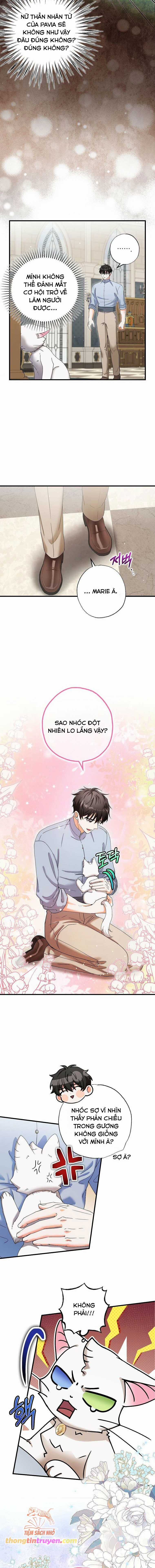 Trở Thành Miêu Nữ Của Hoàng Đế Chapter 22 trang 10