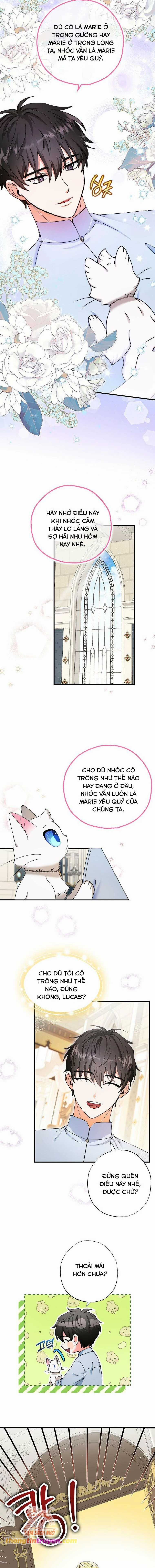 Trở Thành Miêu Nữ Của Hoàng Đế Chapter 22 trang 11