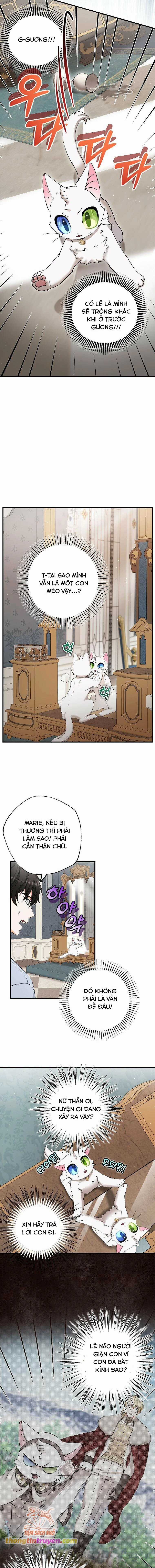 Trở Thành Miêu Nữ Của Hoàng Đế Chapter 22 trang 9