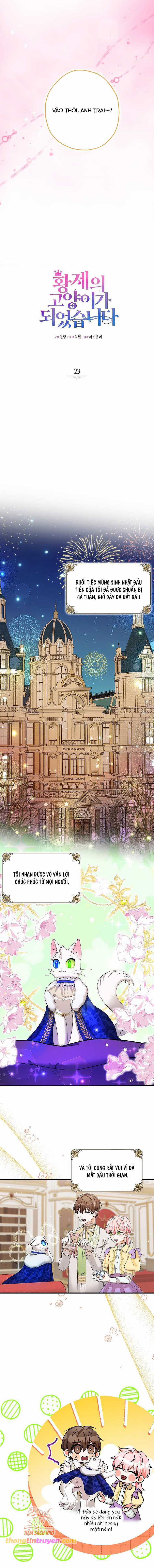 Trở Thành Miêu Nữ Của Hoàng Đế Chapter 23 trang 5