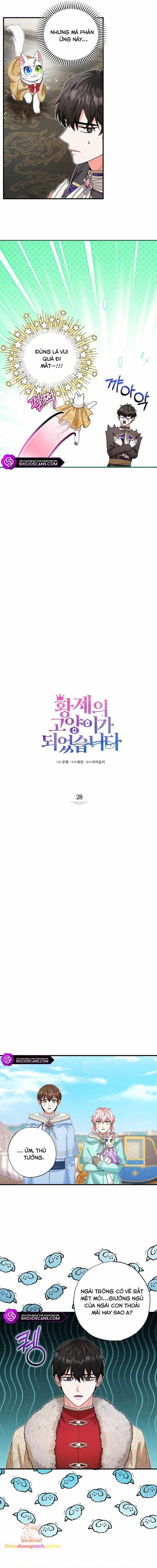 Trở Thành Miêu Nữ Của Hoàng Đế Chapter 28 trang 5