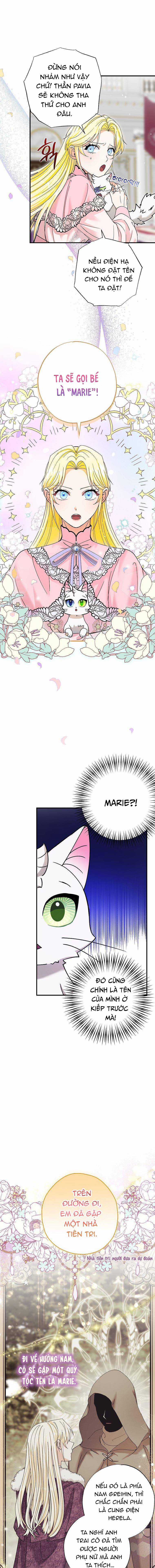 Trở Thành Miêu Nữ Của Hoàng Đế Chapter 3 trang 8