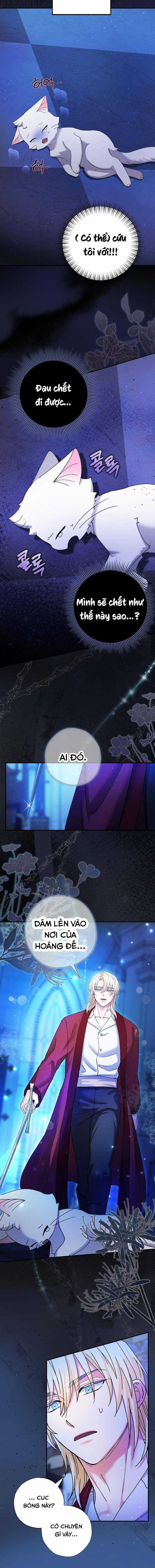 Trở Thành Miêu Nữ Của Hoàng Đế Chapter 4 trang 8