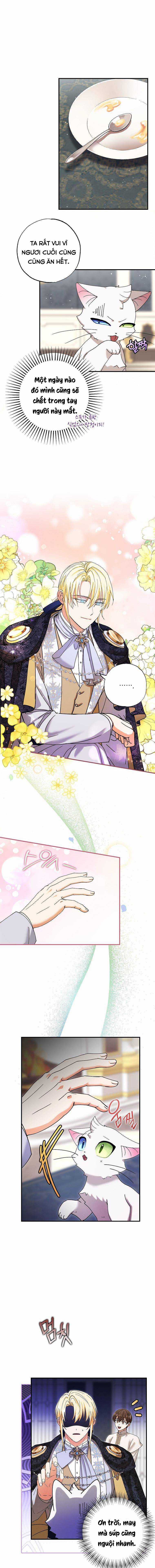 Trở Thành Miêu Nữ Của Hoàng Đế Chapter 5 trang 10