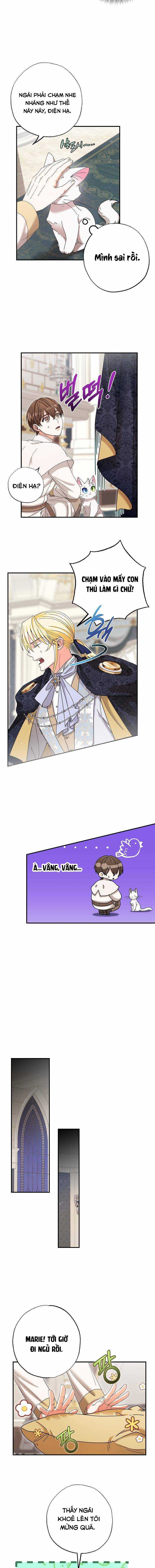 Trở Thành Miêu Nữ Của Hoàng Đế Chapter 5 trang 11