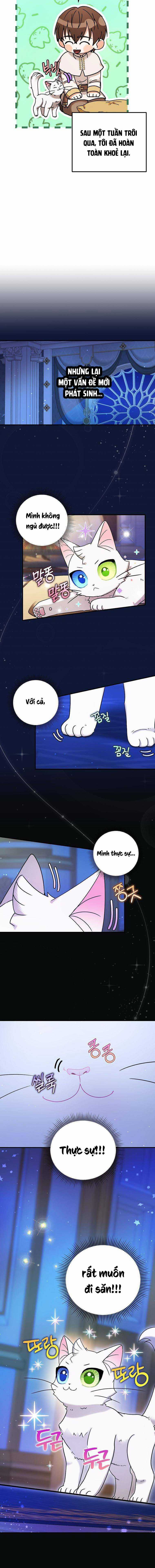 Trở Thành Miêu Nữ Của Hoàng Đế Chapter 5 trang 12