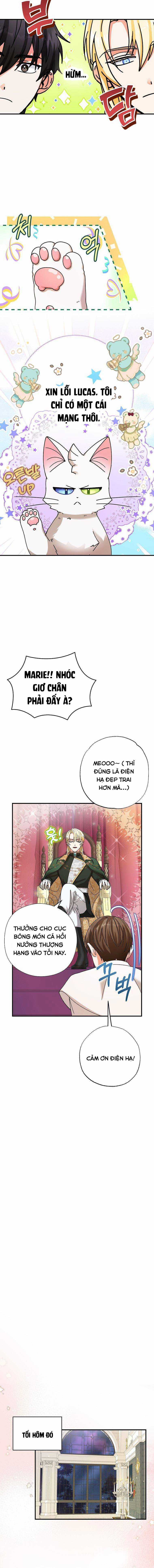 Trở Thành Miêu Nữ Của Hoàng Đế Chapter 6 trang 14