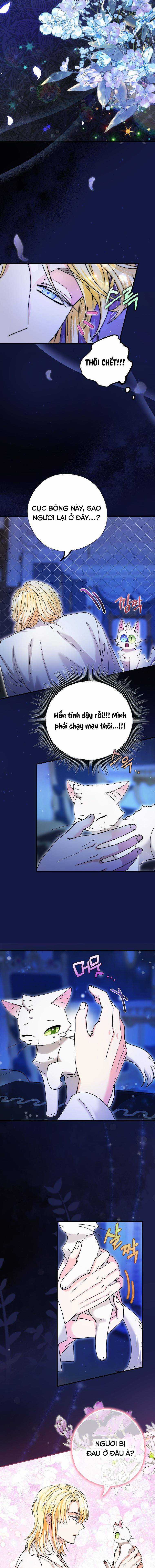 Trở Thành Miêu Nữ Của Hoàng Đế Chapter 6 trang 4