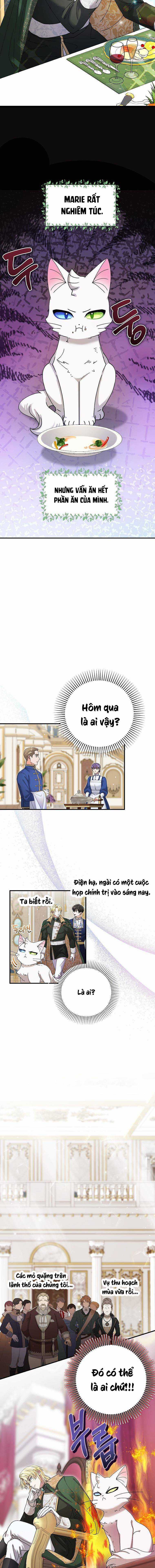 Trở Thành Miêu Nữ Của Hoàng Đế Chapter 6 trang 9