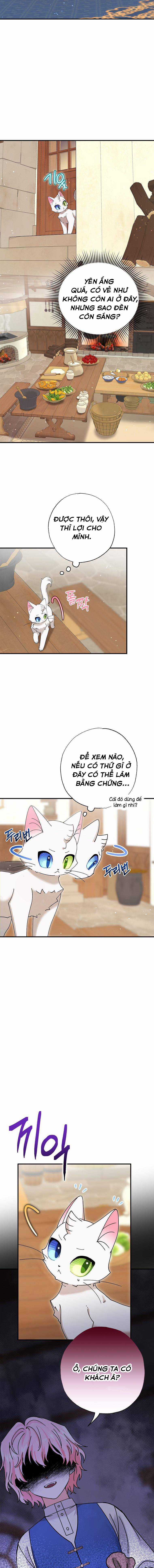 Trở Thành Miêu Nữ Của Hoàng Đế Chapter 8 trang 15
