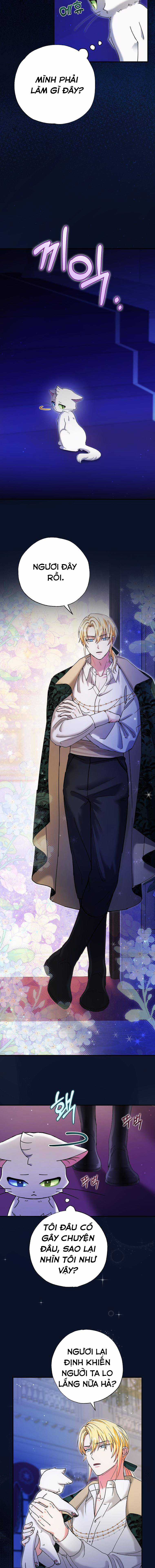 Trở Thành Miêu Nữ Của Hoàng Đế Chapter 9 trang 14