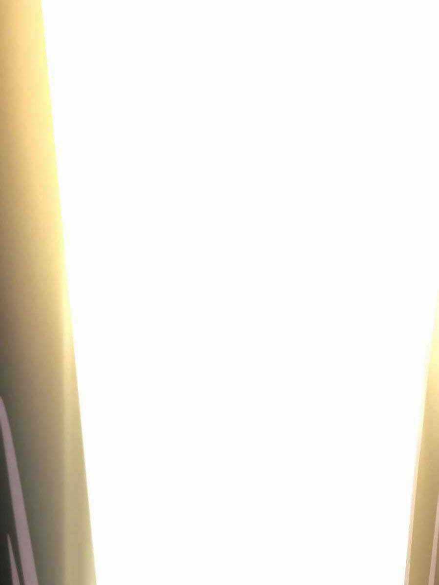 Trở Thành Nhân Viên Cho Các Vị Thần Chapter 33 trang 175