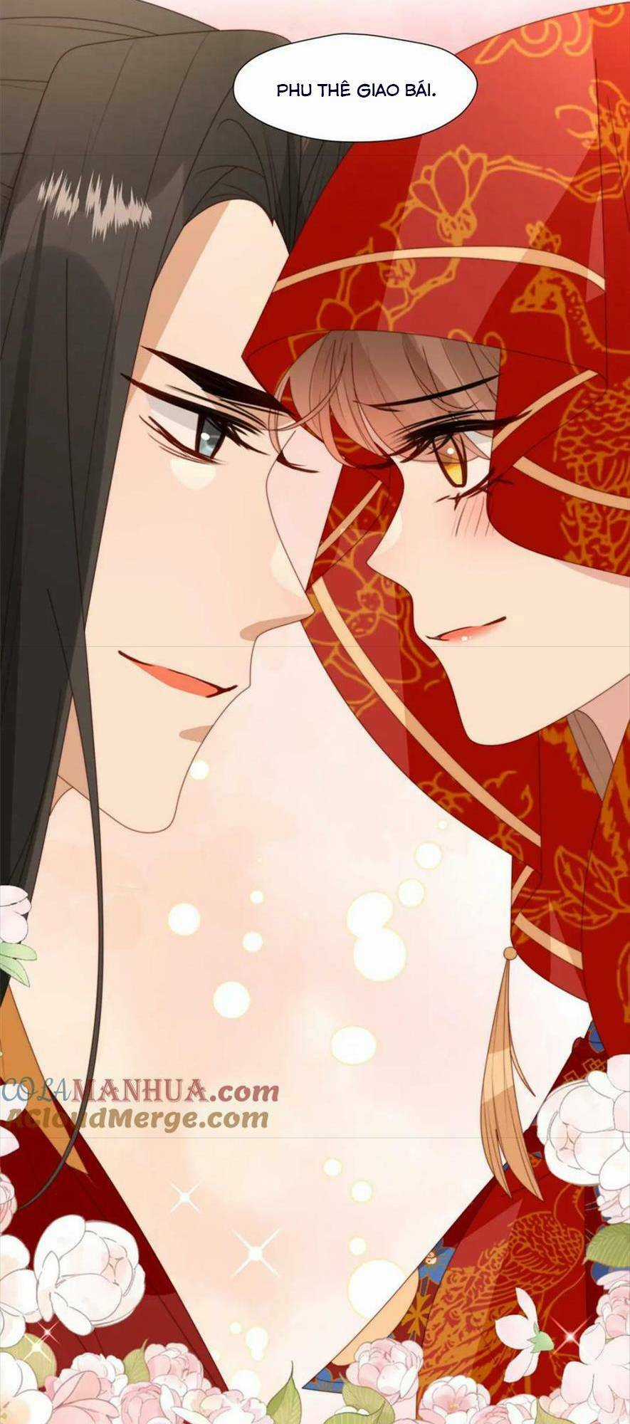 Trở Thành Nữ Phụ Ác Độc Chinh Phục Vương Gia Chapter 101 trang 14