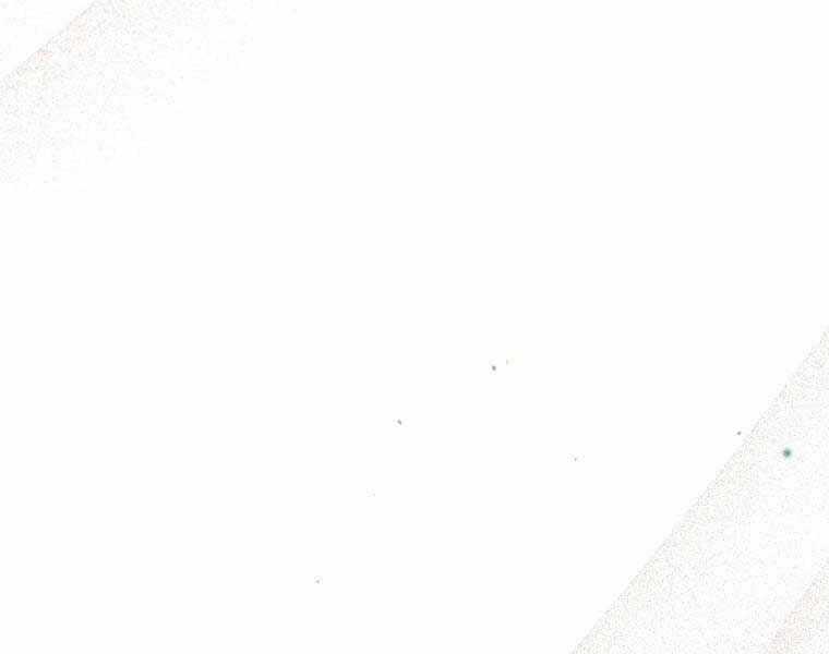 Trở Thành Thiên Tài Tốc Biến Của Học Viện Ma Pháp Chapter 44 trang 57