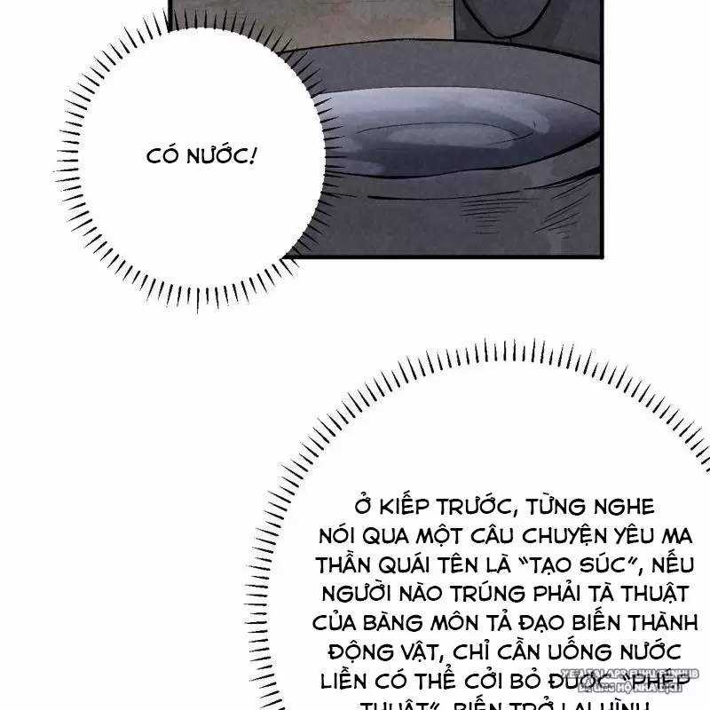 Trở Thành Tiên Bắt Đầu Từ Việc Xuyên Không Thành... Heo Chapter 1 trang 51