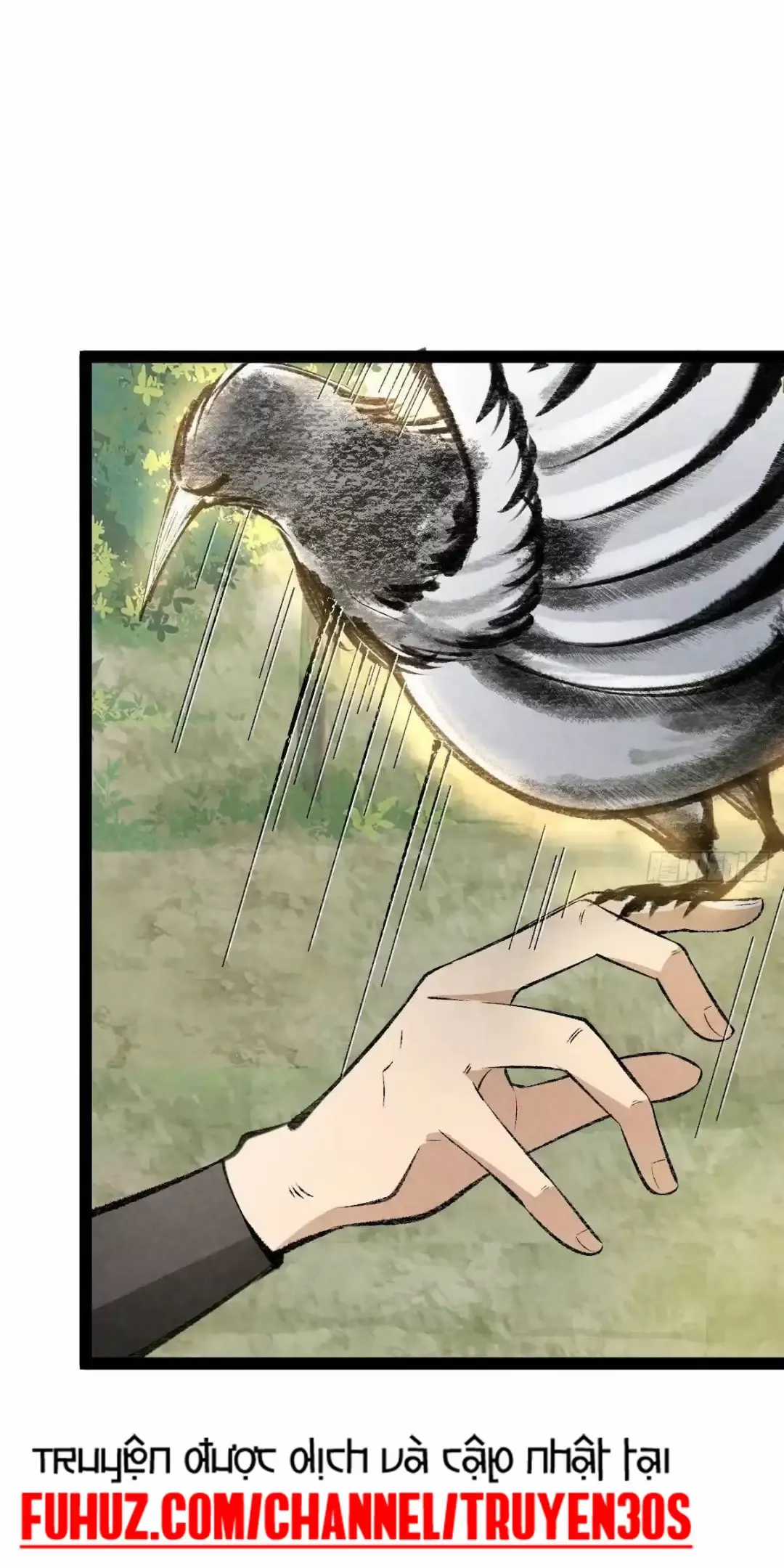 Trở Thành Tiên Bắt Đầu Từ Việc Xuyên Không Thành... Heo Chapter 8 trang 28