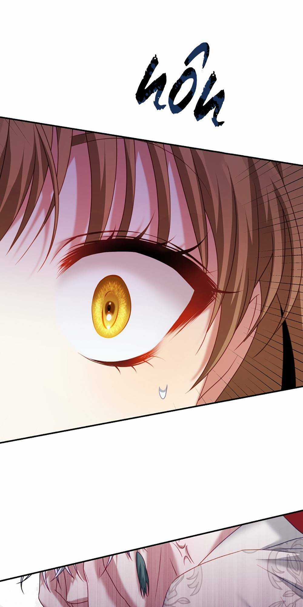 Trở Thành Tình Địch Của Các Nam Chính Chapter 23 trang 15