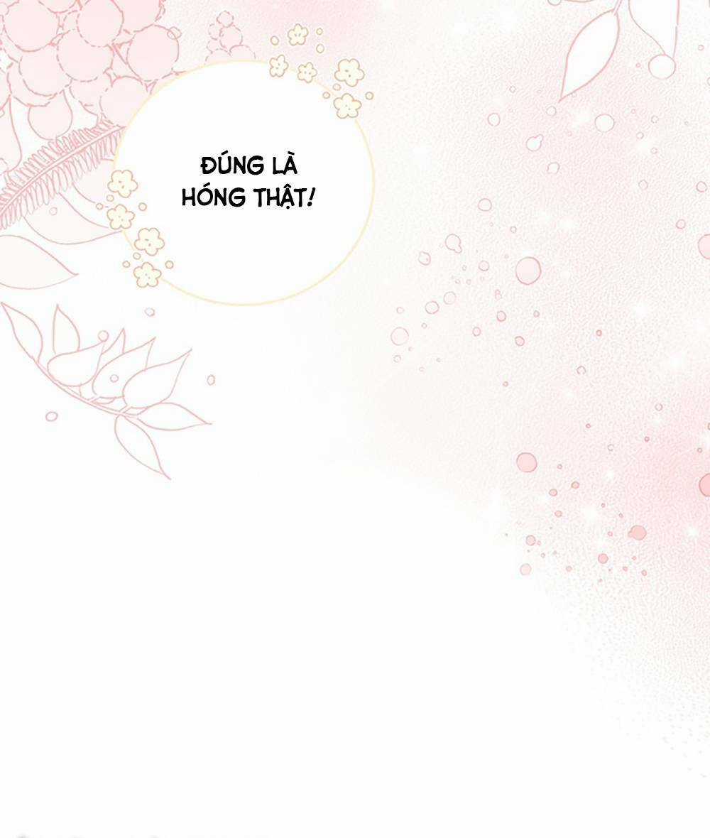 Trở Thành Tình Địch Của Các Nam Chính Chapter 27 trang 19