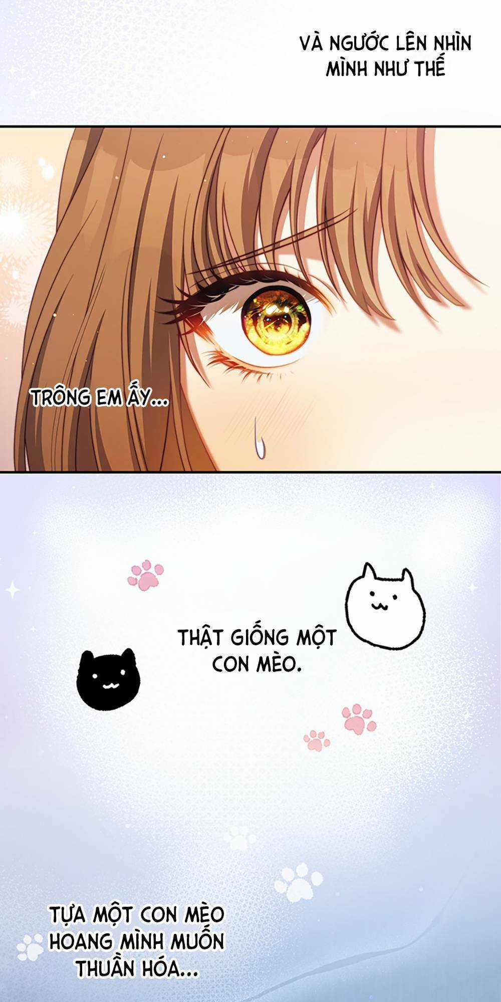 Trở Thành Tình Địch Của Các Nam Chính Chapter 39 trang 11