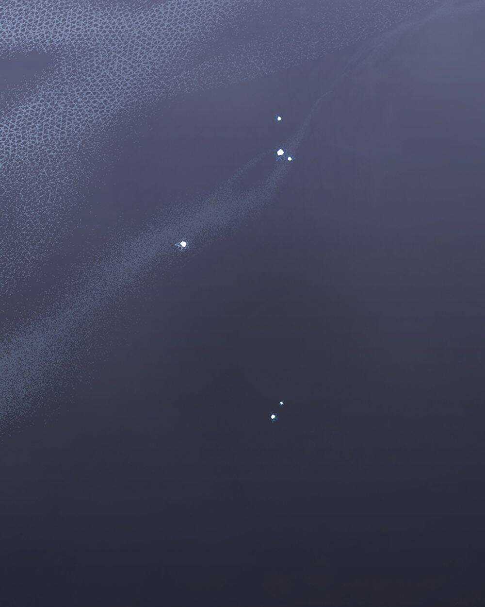 Trở Thành Tình Địch Của Các Nam Chính Chapter 82 trang 87