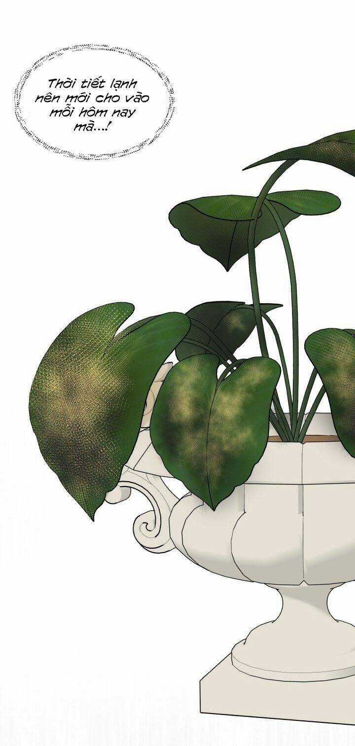 Trở Thành Vợ Của Nam Chính Phế Vật Chapter 8 trang 12