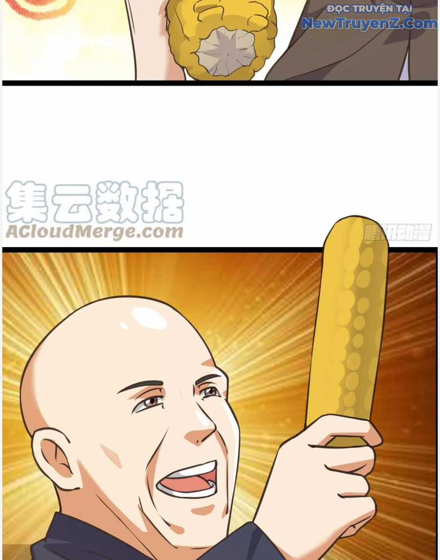 Trở Về Làm Đại Lão Thời Mạt Thế Chương 302 trang 13