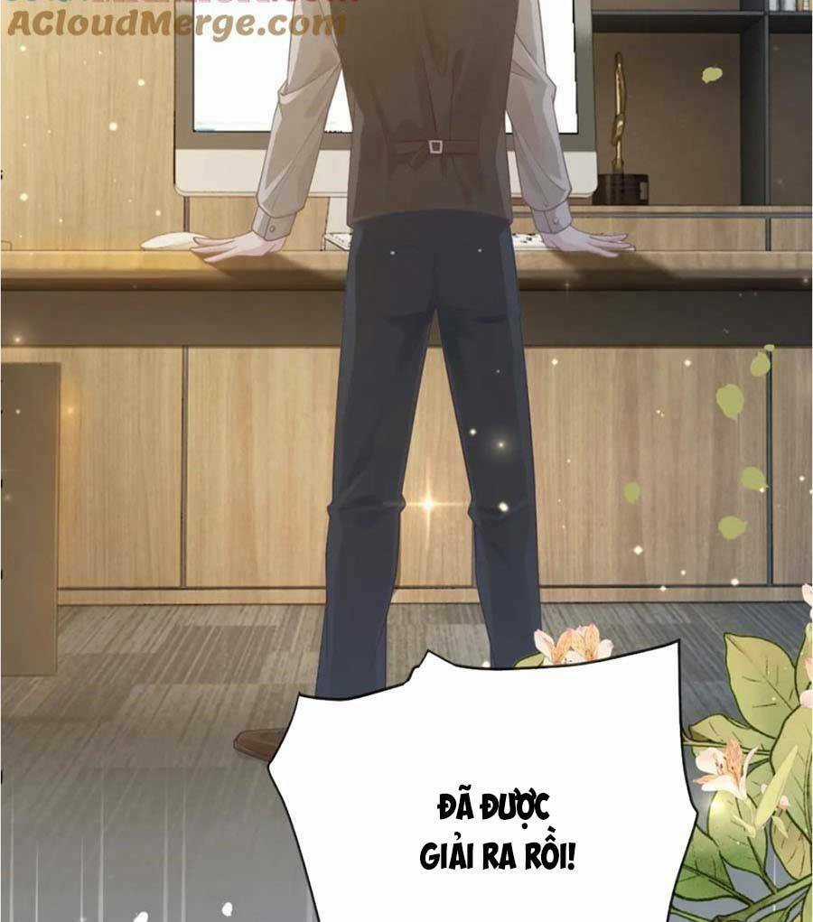 Trở Về Thế Giới Xuyên Nhanh Đại Lão Được Cưng Hết Mực Chapter 19 trang 9