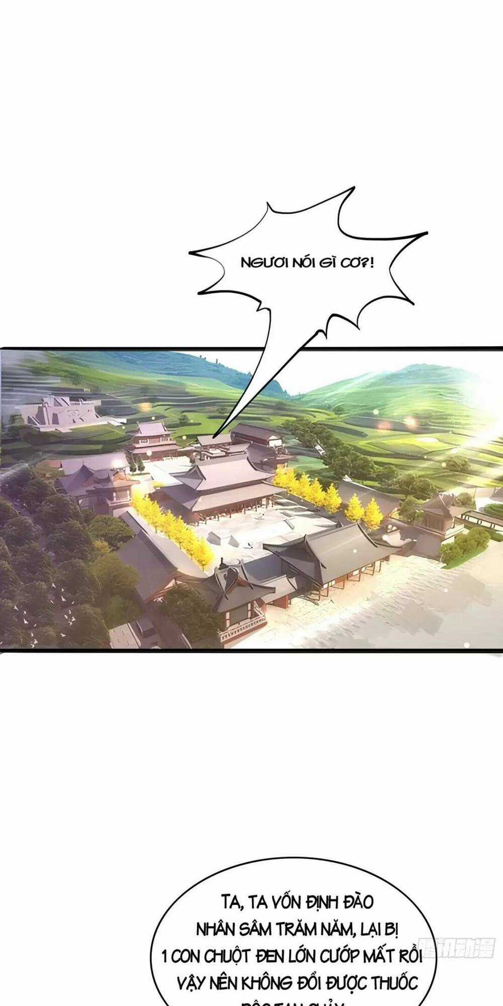 Trời Má ! Ta Chuyển Sinh Thành Rùa ! Chapter 2 trang 2