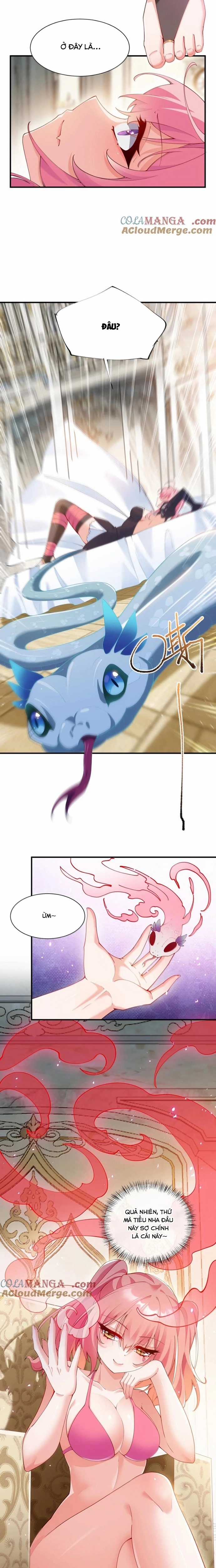 Trời Sinh Mị Cốt, Ta Bị Đồ Nhi Yandere Để Mắt Tới Chapter 60 trang 7