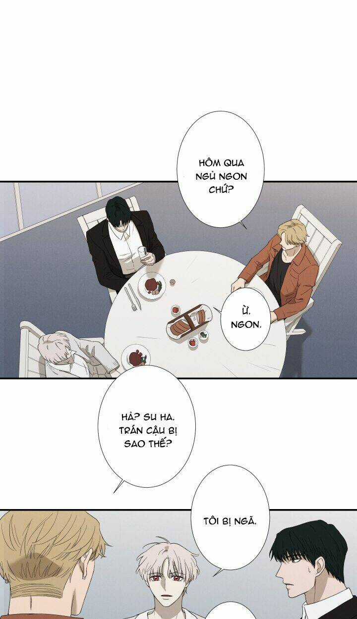 Trốn Tìm Chapter 26 trang 19