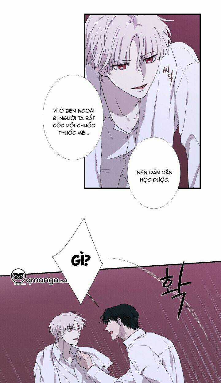 Trốn Tìm Chapter 26 trang 3