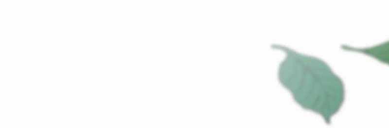 Trọng Sinh 1998: Yêu Đương Không Bằng Làm Nên Nghiệp Lớn! Món quà ý nghĩa nhất cho người thân yêu Chapter 18 trang 121