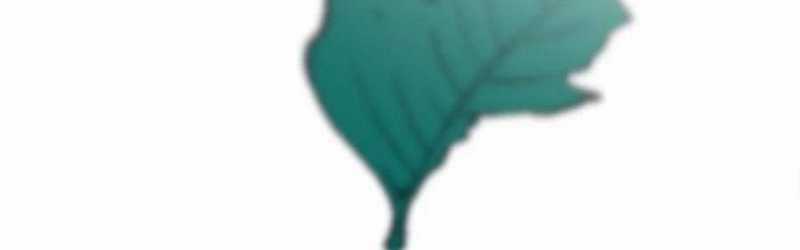 Trọng Sinh 1998: Yêu Đương Không Bằng Làm Nên Nghiệp Lớn! Món quà ý nghĩa nhất cho người thân yêu Chapter 18 trang 33