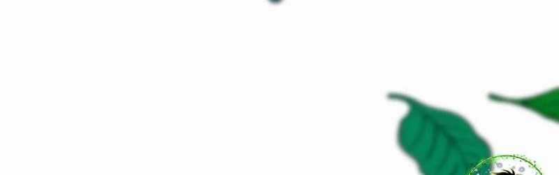 Trọng Sinh 1998: Yêu Đương Không Bằng Làm Nên Nghiệp Lớn! Chapter 18 trang 35