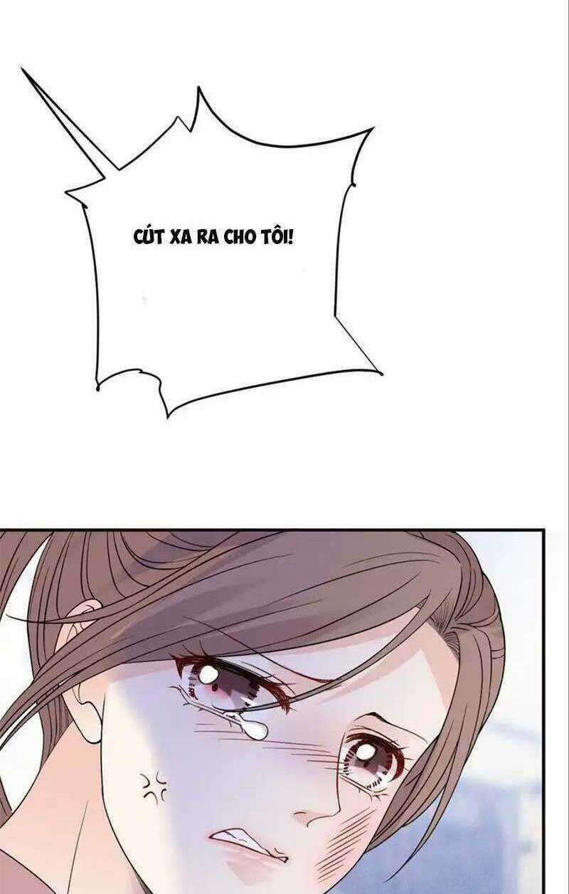 Trọng Sinh Báo Thù Gặp Được Bá Đạo Tổng Tài Chapter 19 trang 39