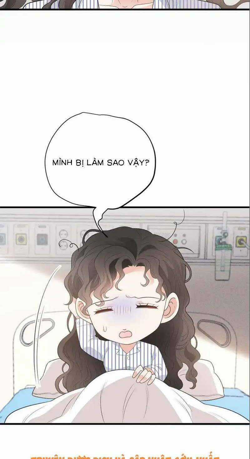 Trọng Sinh Báo Thù Gặp Được Bá Đạo Tổng Tài Chapter 20 trang 19