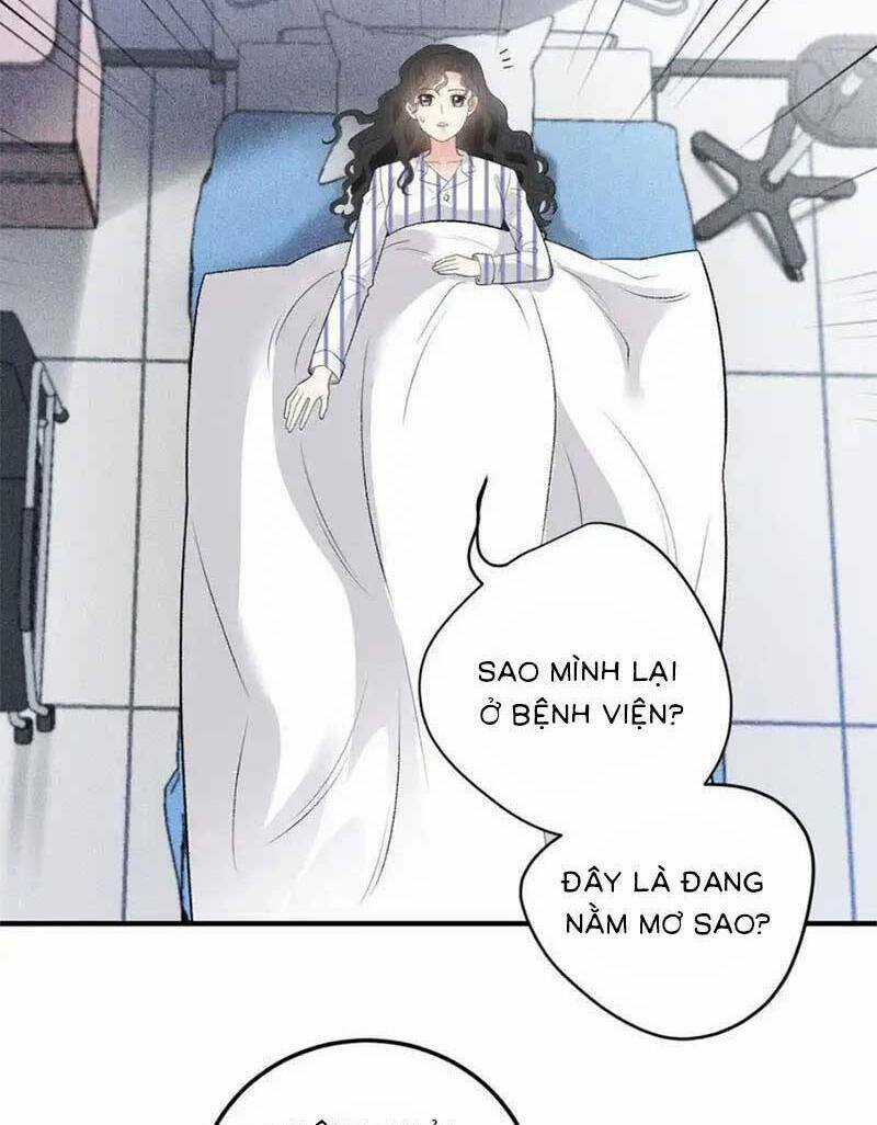 Trọng Sinh Báo Thù Gặp Được Bá Đạo Tổng Tài Chapter 22 trang 36