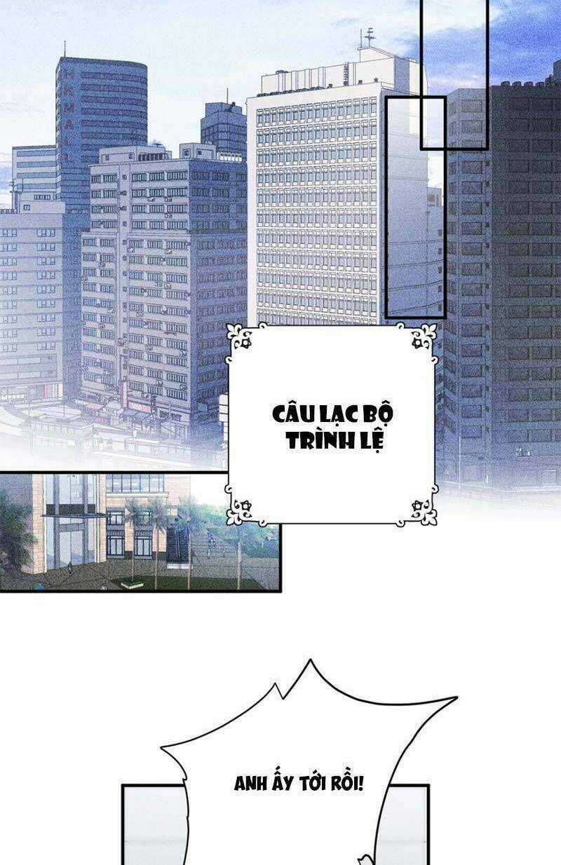 Trọng Sinh Báo Thù Gặp Được Bá Đạo Tổng Tài Chapter 8 trang 11