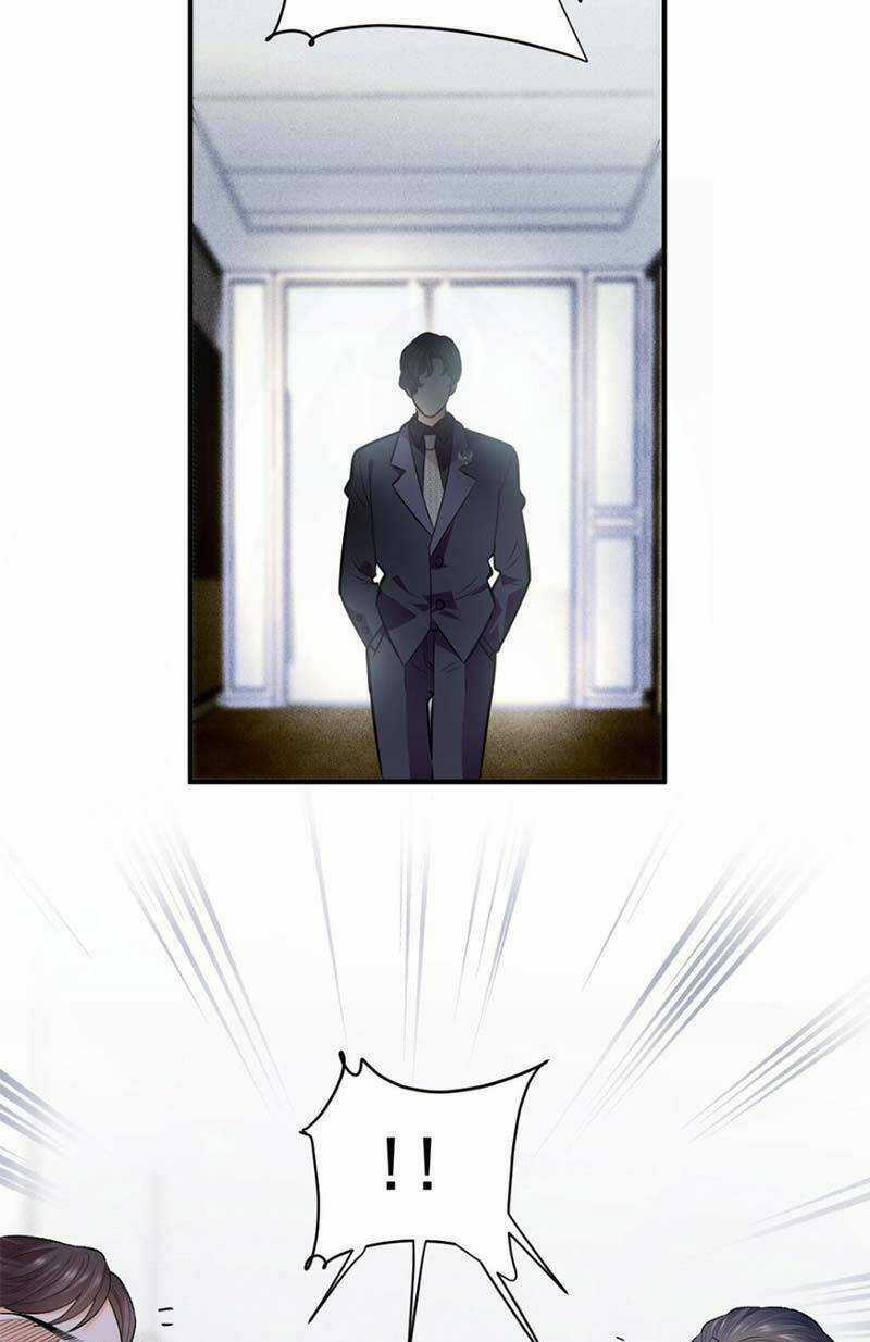 Trọng Sinh Báo Thù Gặp Được Bá Đạo Tổng Tài Chapter 8 trang 12