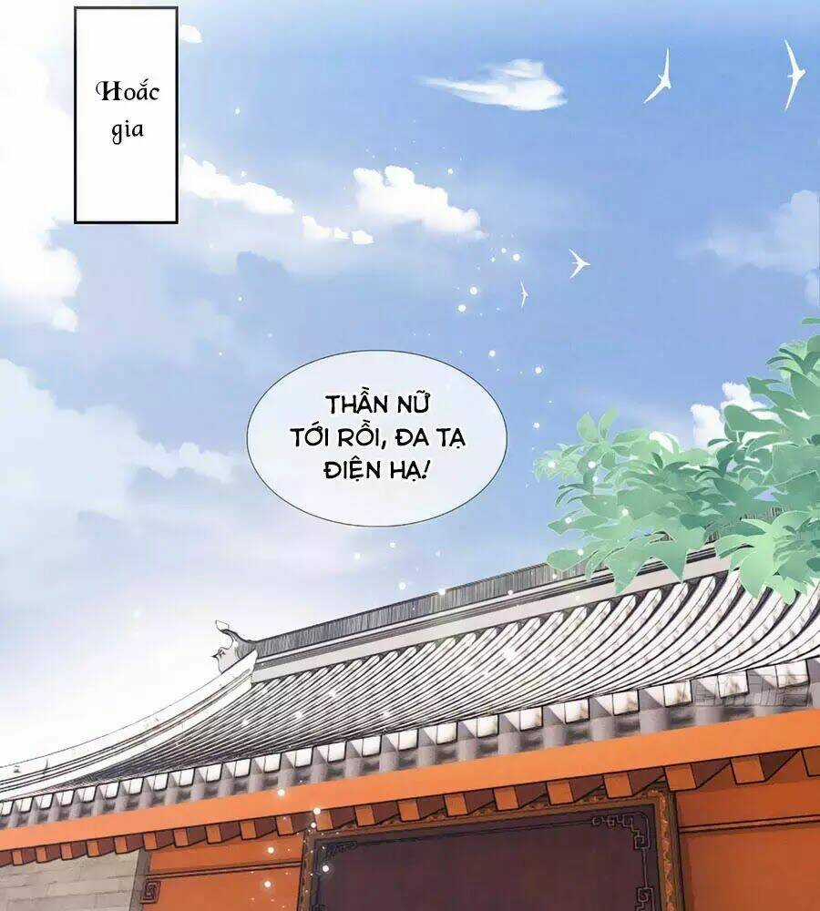 Trọng Sinh Chi Đích Nữ Bất Thiện Chapter 14 trang 11