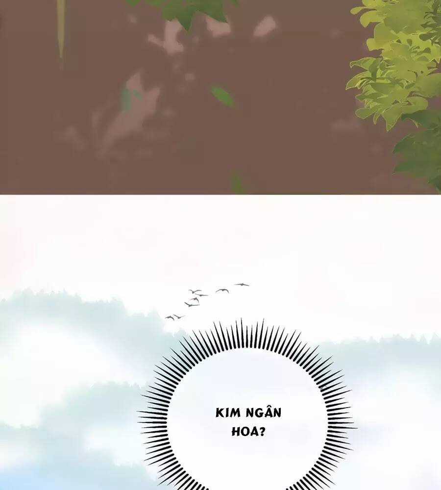 Trọng Sinh Chi Đích Nữ Bất Thiện Chapter 8 trang 20