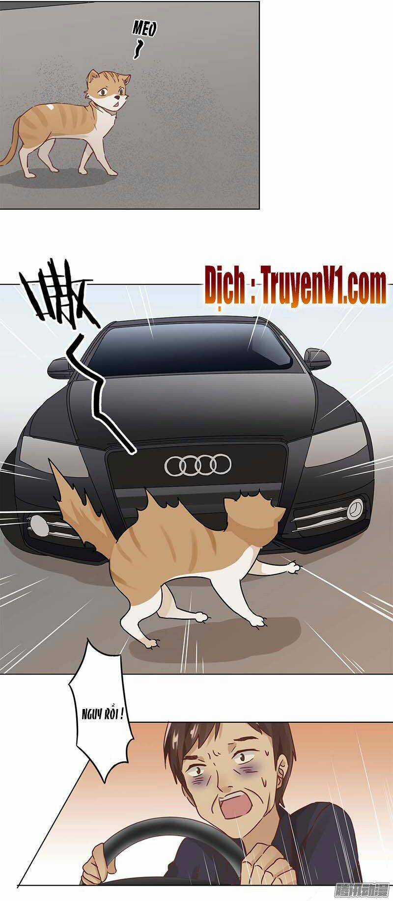 Trọng Sinh Chi Hao Môn Cường Thế Quy Lai Chapter 7 trang 8